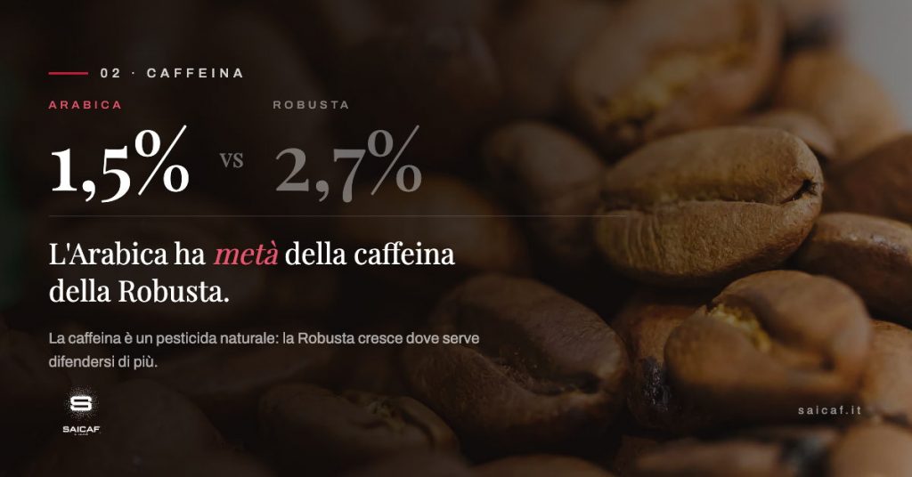 Caffeina 100% arabica